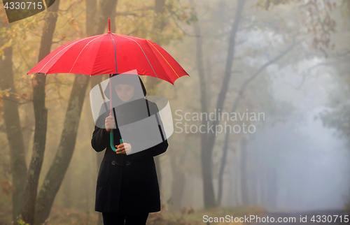 Image of Woman and foggy forest