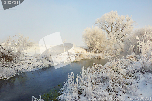 Image of Frosty winter trees on river