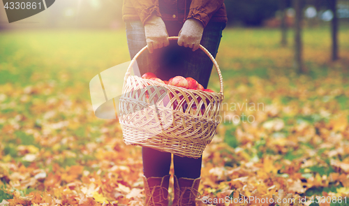 Image of woman with basket of apples at autumn garden