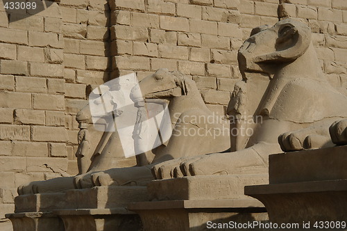 Image of Sphinxes at Cairo