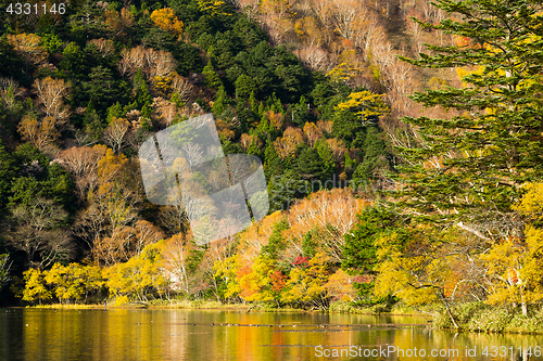 Image of Yunoko lake in Nikko of Japan