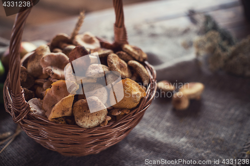 Image of Different mushrooms in basket