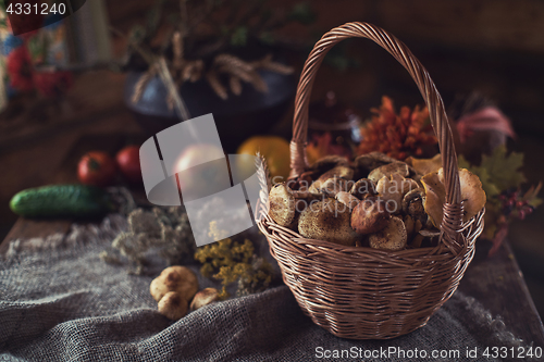Image of Different mushrooms in basket
