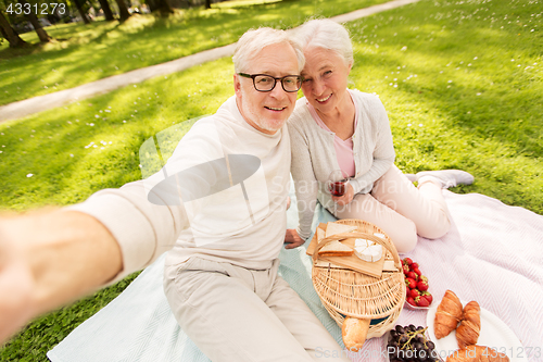 Image of senior couple taking selfie at picnic in park