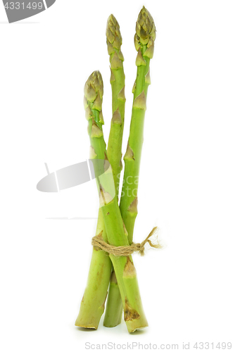 Image of Delicious isolated asparagus