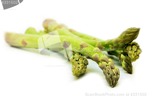 Image of Delicious isolated asparagus