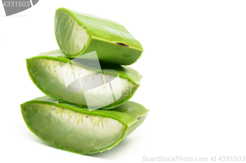 Image of Aloe vera fresh leaf isolated