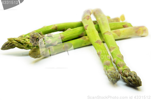 Image of Delicious isolated asparagus