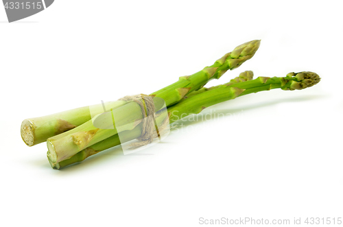 Image of Delicious isolated asparagus 