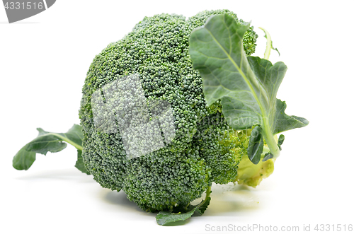 Image of Fresh broccoli isolated on white background