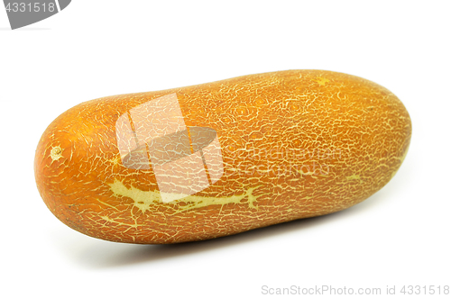 Image of Chinese yellow cucumber