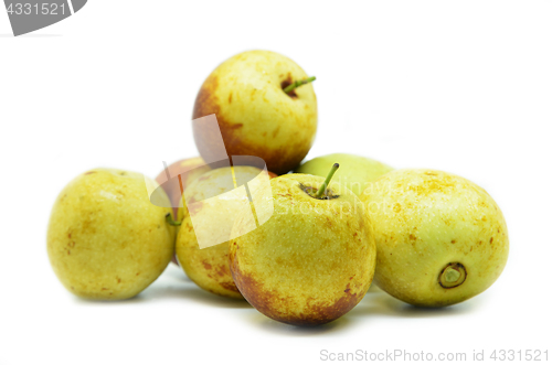 Image of Ziziphus jujube Chinese date