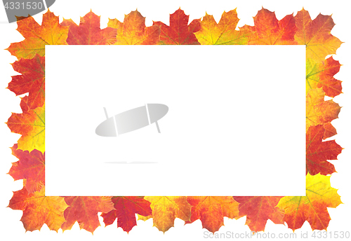 Image of Autumn Leaves as frame on white background