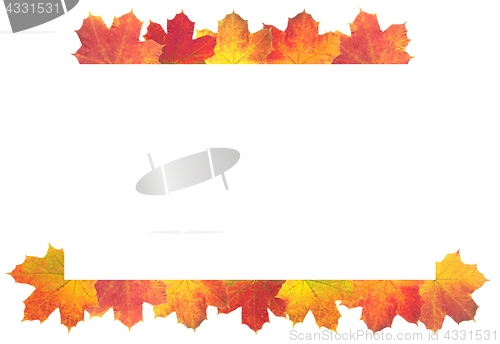 Image of Autumn Leaves as frame on white background