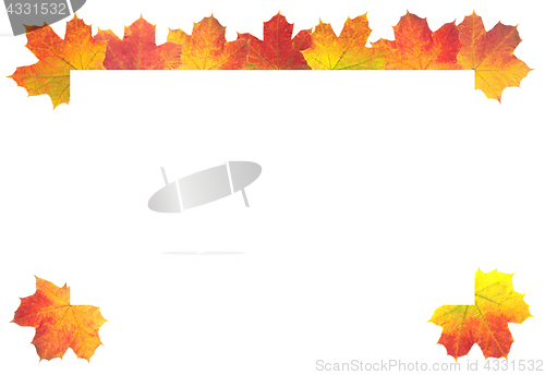 Image of Autumn Leaves as frame on white background