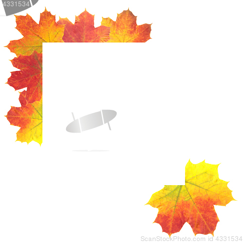 Image of Autumn Leaves as frame on white background