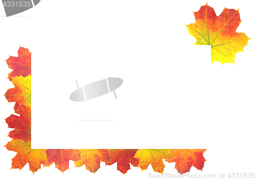 Image of Autumn Leaves as frame on white background