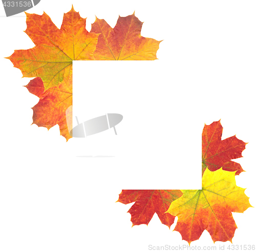 Image of Autumn Leaves as frame on white background