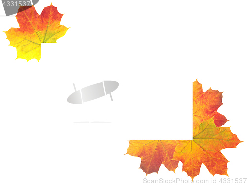 Image of Autumn Leaves as frame on white background