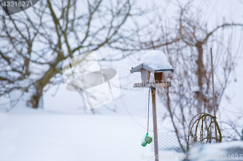 Image of simple birdhouse in winter garden