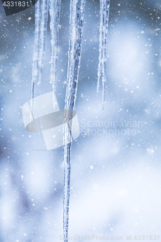 Image of frozen icicles in snowy day background