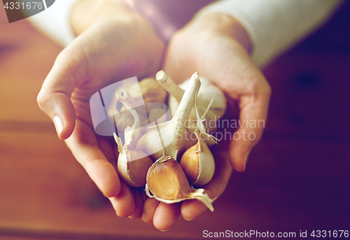 Image of woman hands holding garlic