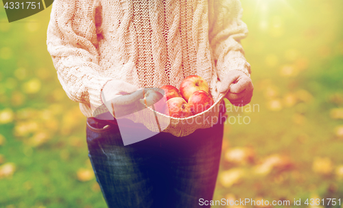 Image of close up of woman with apples in autumn