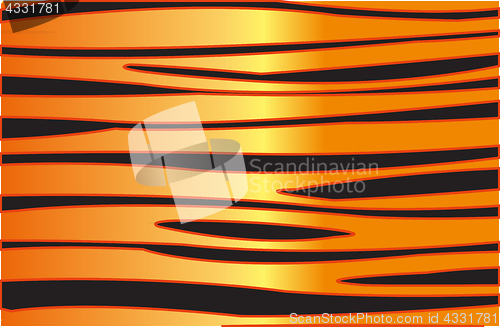 Image of Skin animal tiger
