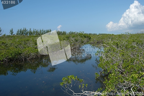 Image of Lucayan National Park