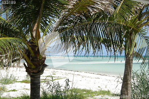 Image of Freeport, Bahamas