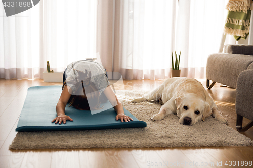 Image of Doing exercise with my lazy dog