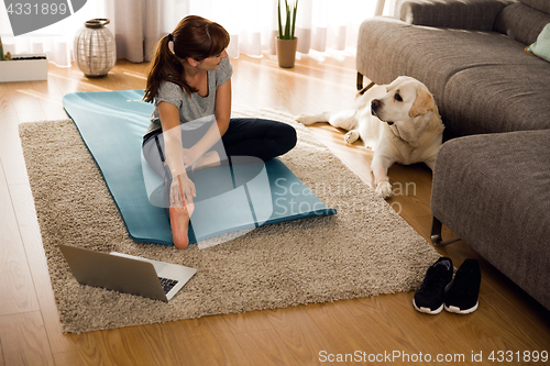 Image of Doing exercise with my lazy dog