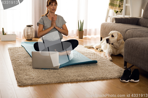 Image of Doing exercise with my lazy dog