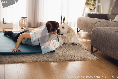 Image of Doing exercise with my lazy dog