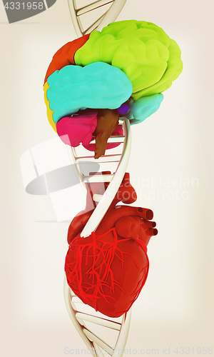 Image of DNA, brain and heart. 3d illustration. Vintage style.