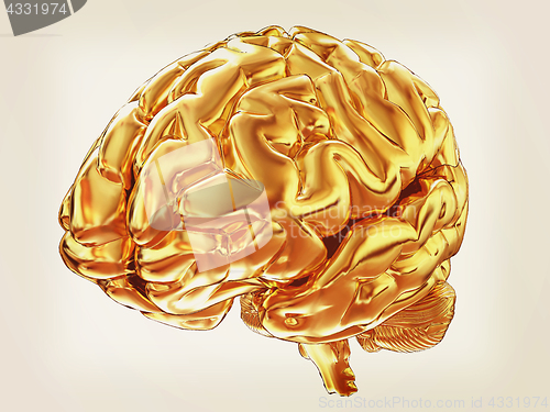 Image of Gold brain. 3d render. Vintage style.