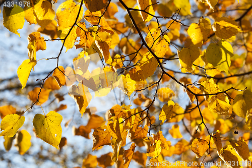 Image of Maple Park in autumn