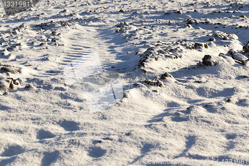 Image of Photo snow, close-up