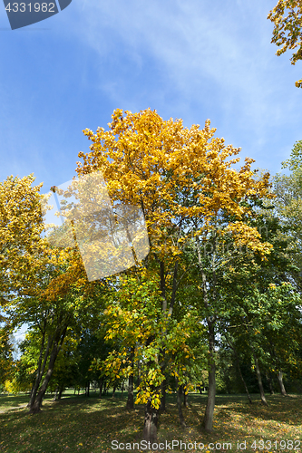 Image of Park in the fall