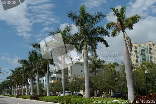 Image of Miami Beach road