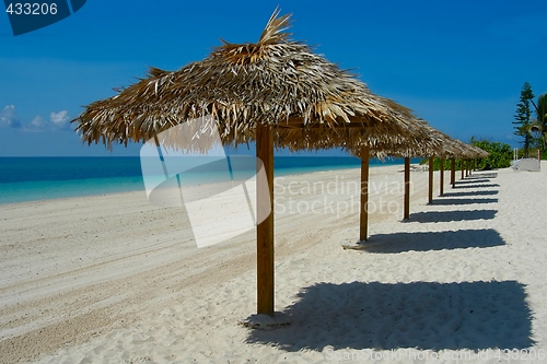 Image of Beach umbrellas