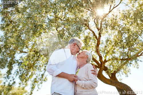 Image of happy senior couple kissing at summer park