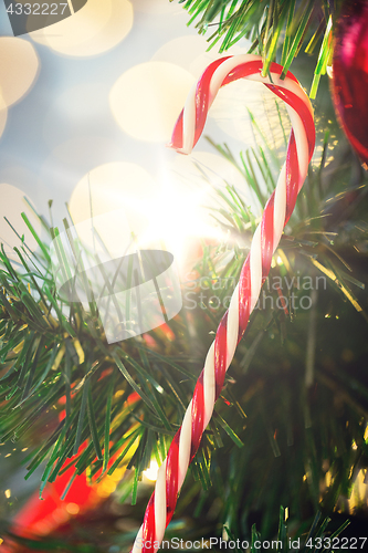 Image of close up of sugar cane candy on christmas tree