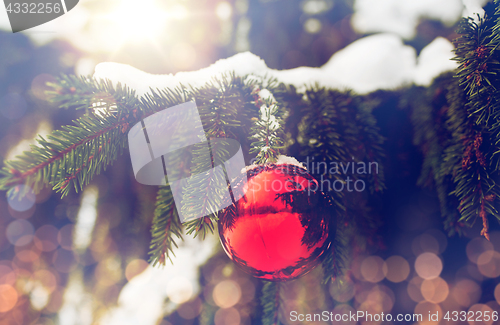 Image of red christmas ball on fir tree branch with snow