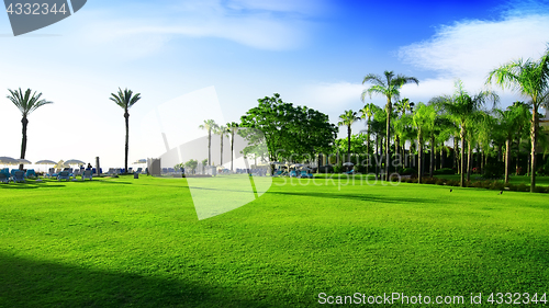 Image of Green meadow in Turkey