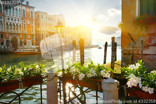 Image of Flowers near Grand Canal, Venice