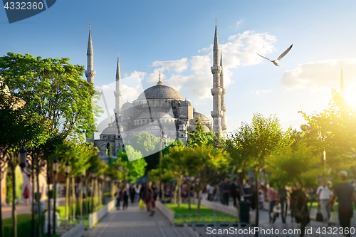 Image of Park near the blue mosque