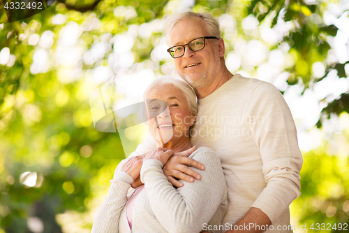 Image of happy senior couple hugging at summer park