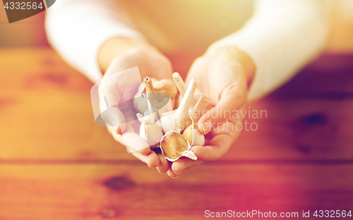 Image of close up of woman hands holding garlic