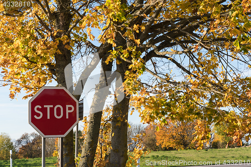 Image of Stop traffic sign by fall season